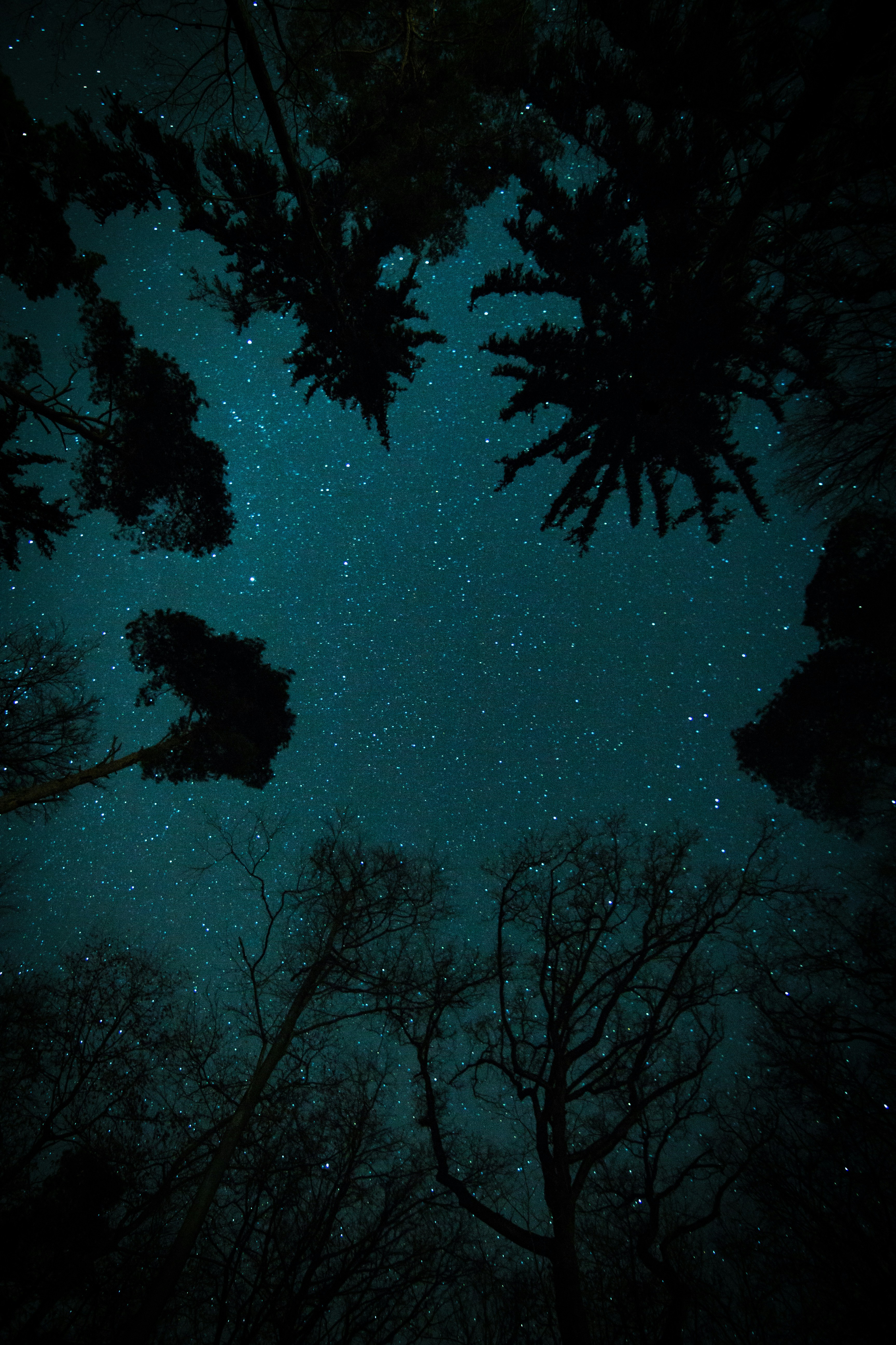 Vista natural de Parque Sendero Nocturno