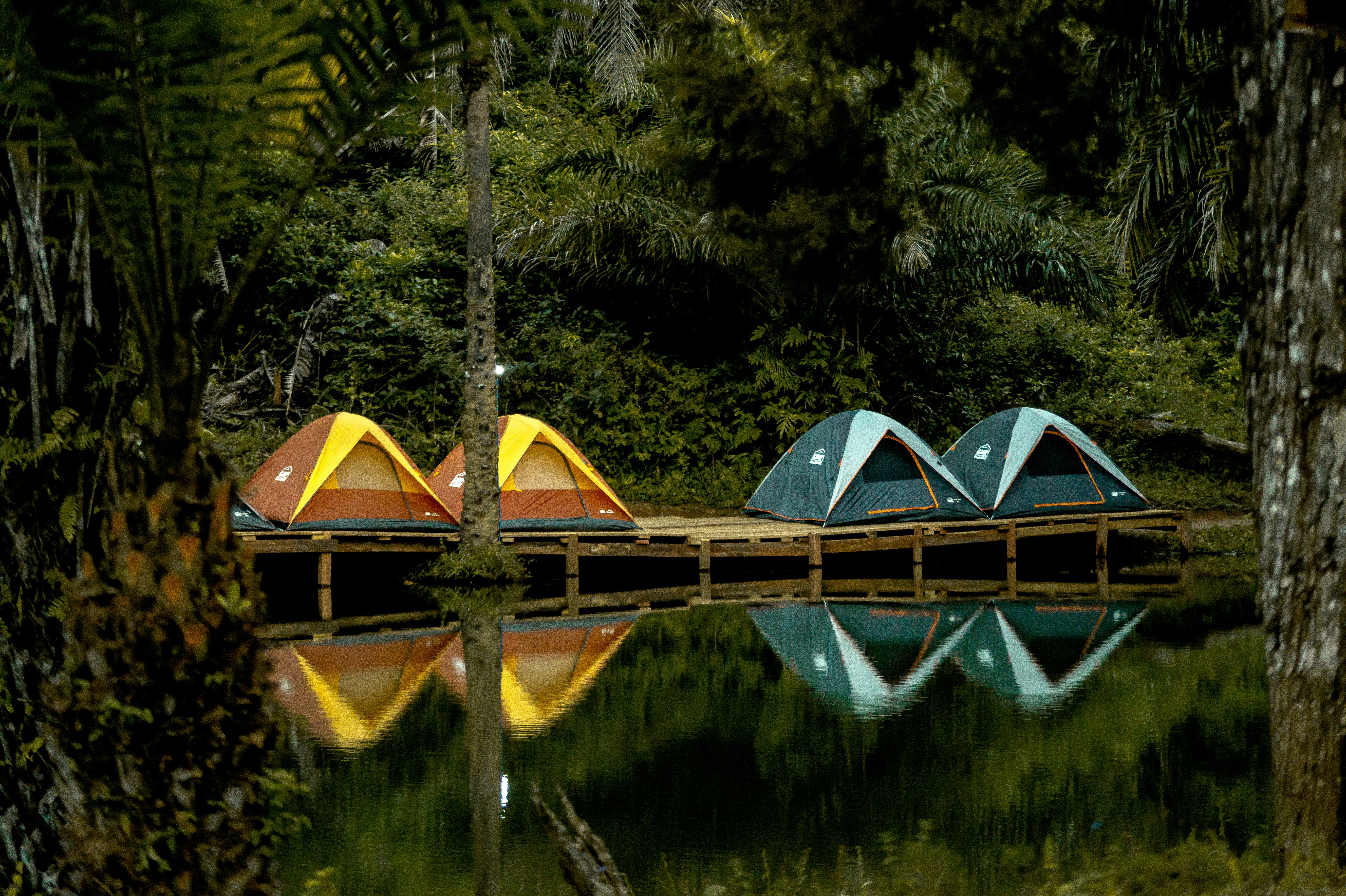 Paisaje de Parque Santuario Brillo de Luna 4